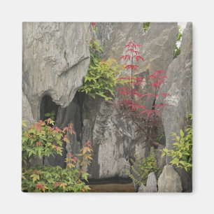 Baos familjträdgård, Huangshan, Kina. Magnet