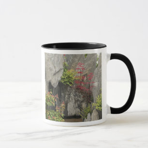 Baos familjträdgård, Huangshan, Kina. Mugg