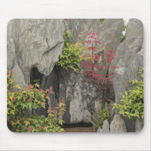 Baos familjträdgård, Huangshan, Kina. Musmatta