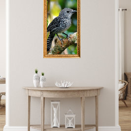 Bar-crested antshrike poster