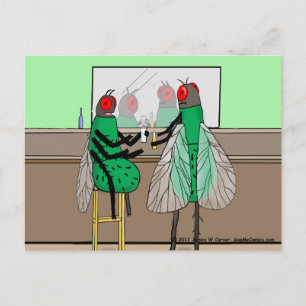 "Bar Flies" vykort