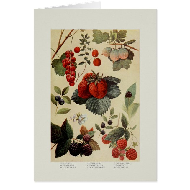 Bär Hälsningskort (Framsidan)