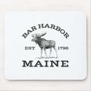Bar Harbor Maine Älg Vandring Utomhus Acadia Nati Musmatta