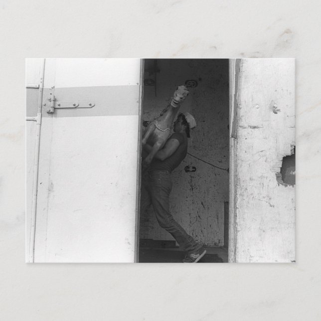 Bär hästen vykort (Framsida)