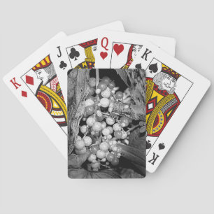 Bär i svartvitt casinokort
