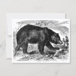 Bär in der Prärie Vykort