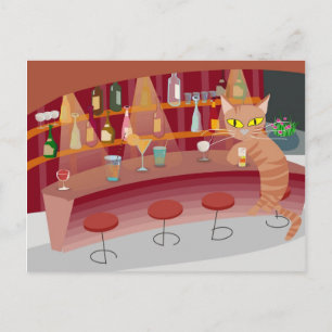 Bar katt vykort