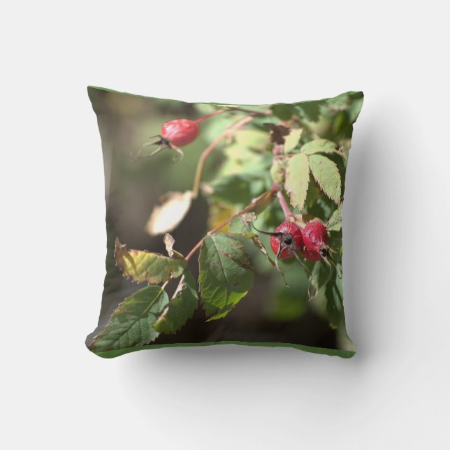 bär kudde (Framsida)