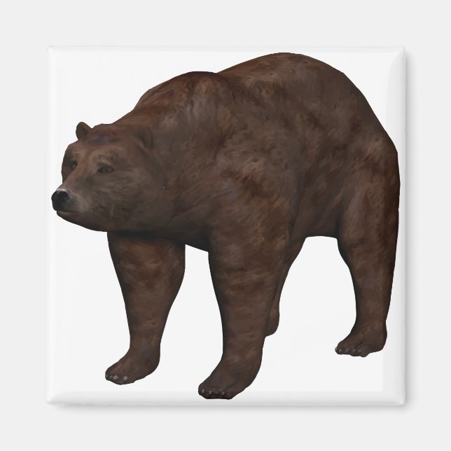 Bär Magnet (Framsidan)