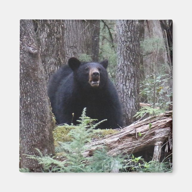 Bär med mig magnet (Framsidan)