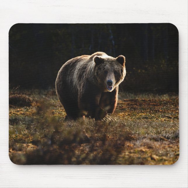 Bär musknapp musmatta (Framsidan)