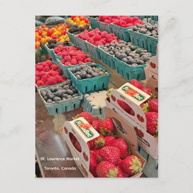 Bär på St. Lawrence Market Vykort (Framsida)