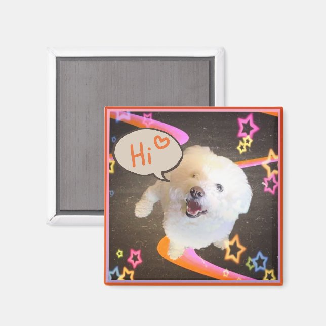 Bara att säga "Hej"  Magnet (Front/Back)
