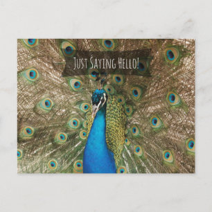 Bara att säga Hej Peacock Photo Friendly Note Vykort