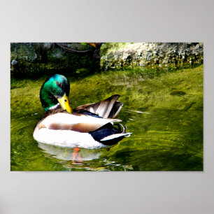 Bara att undra_ poster