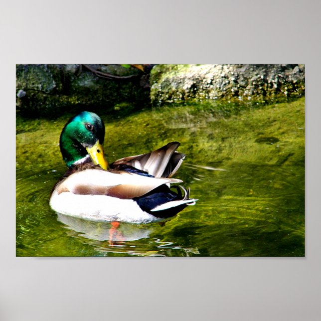 Bara att undra_ poster (Framsidan)