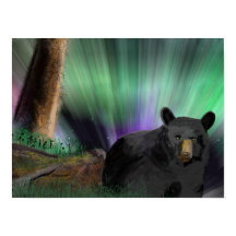 bära aurora