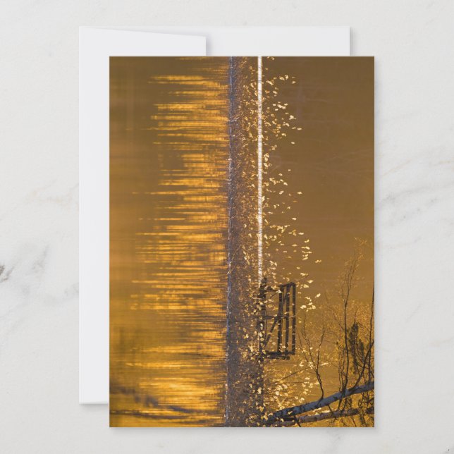 Bara bänk vid sjö i det gyllene ljuset (Framsida)