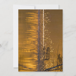 Bara bänk vid sjö i det gyllene ljuset