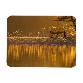 Bara bänk vid sjö i det gyllene ljuset magnet