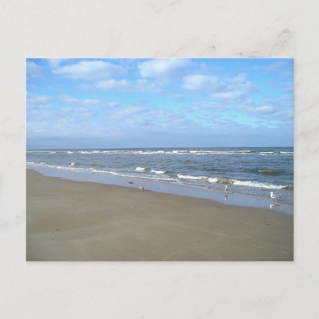 Bara Beach Vykort (Framsida)