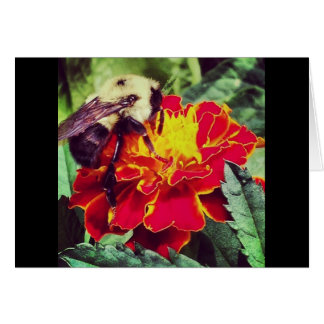 Bara Bee-orsaken! Hälsningskort