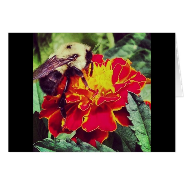 Bara Bee-orsaken! Hälsningskort (Framsidan Horizontal)
