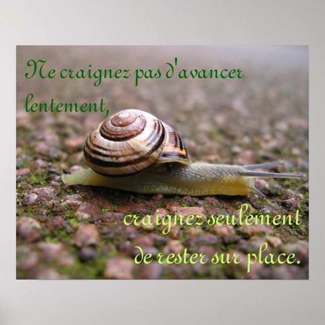 Bara behållan iväg! - FRANSK Poster (Framsidan)