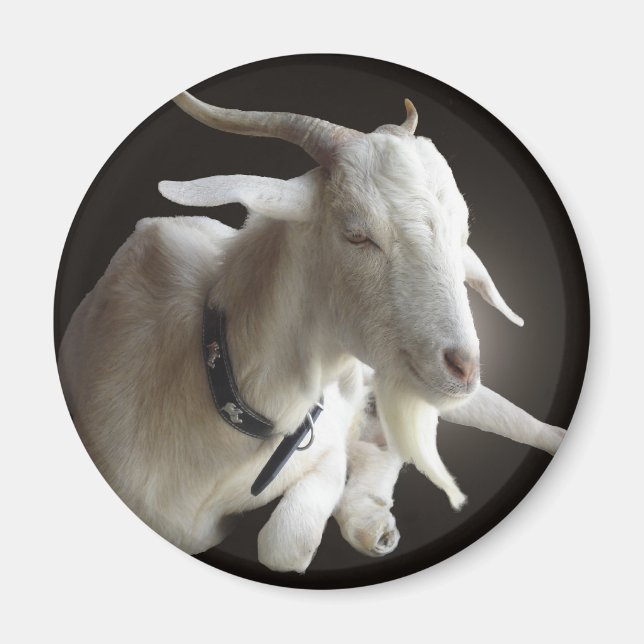 Bara Billy Magnet (Framsidan)