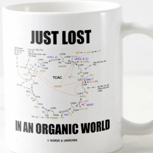 Bara Borttappad i ett ekologiskt kretslopp i Humor Kaffemugg