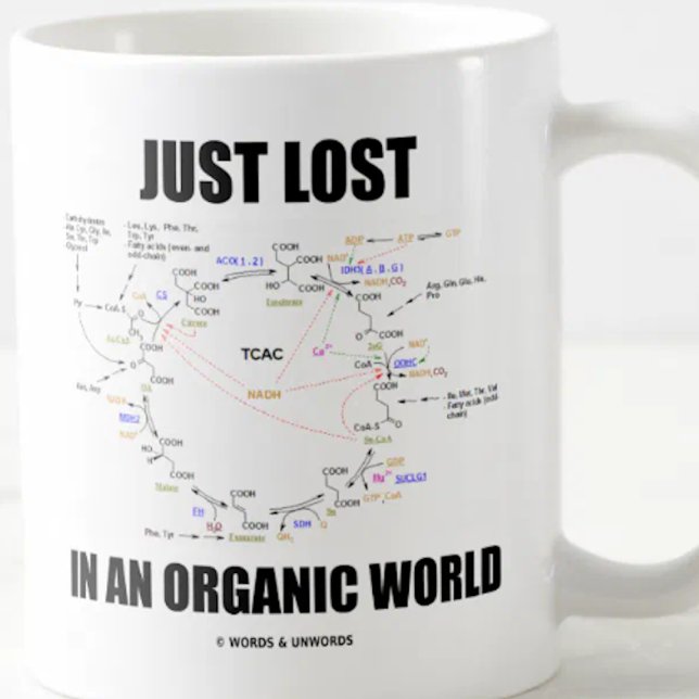 Bara Borttappad i ett ekologiskt kretslopp i Humor Kaffemugg (Scientific saying mug featuring the Krebs cycle for anyone who is "Just Lost In An Organic World".)