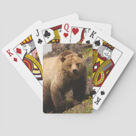 bära casinokort