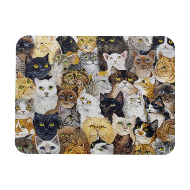 Bara Cats Whisker Magnet (Horisontell)