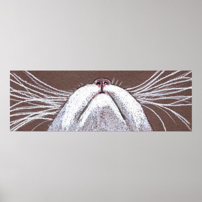 BARA CATS WHISKERS 2 POSTER (Framsidan)