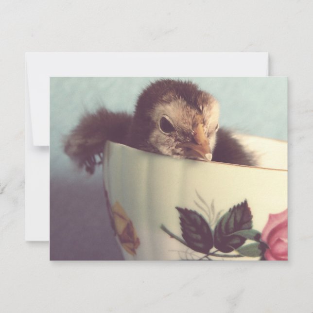 Bara Chillin (Framsida)