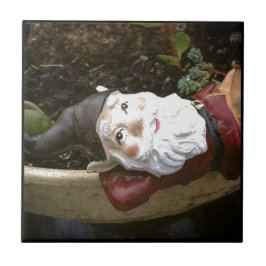 Bara Chillin, A Garden Gnome Kakelplatta