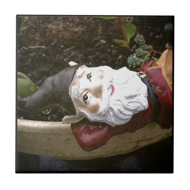 Bara Chillin, A Garden Gnome Kakelplatta (Framsidan)