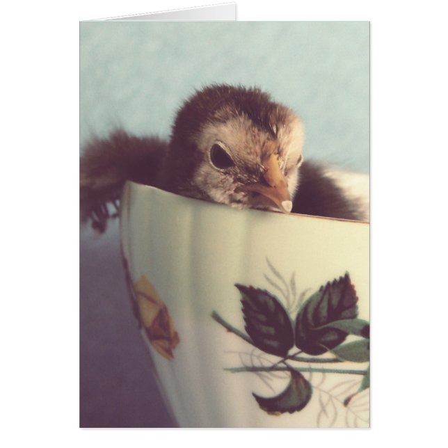 Bara Chillin Hälsningskort (Framsidan)