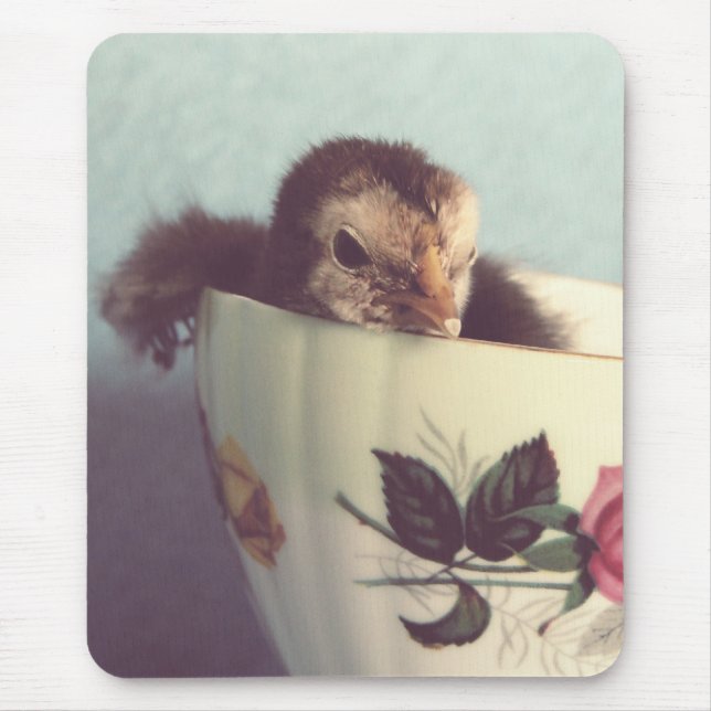 Bara Chillin Musmatta (Framsidan)