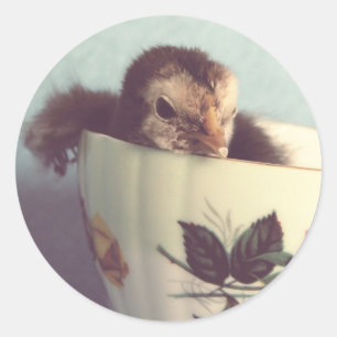 Bara Chillin. Runt Klistermärke