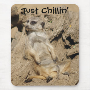 Bara Chillin'Meerkat Photo Mouse Pad Musmatta