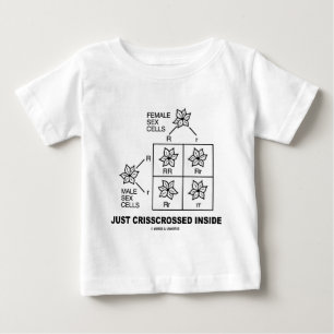 Bara crisscrossed inuti (Punnett Square Attitude) Tee Shirt