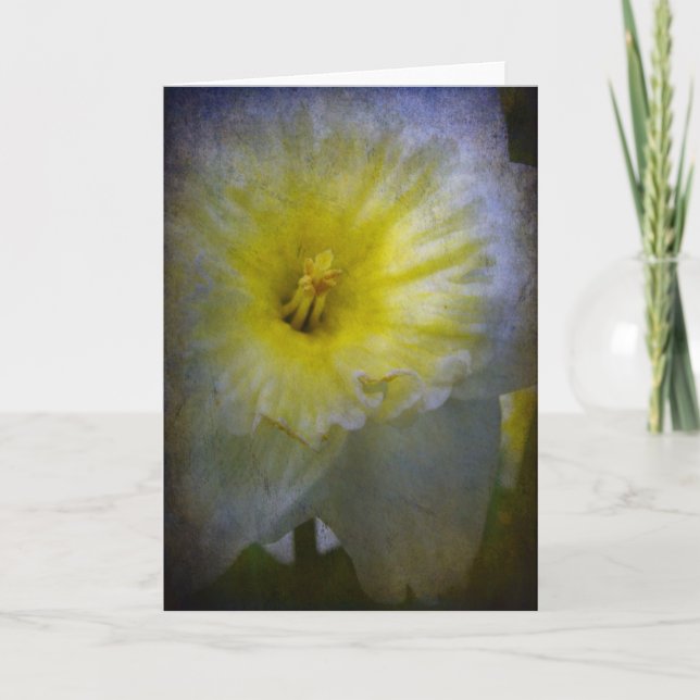 Bara Daffy Kort (Framsida)