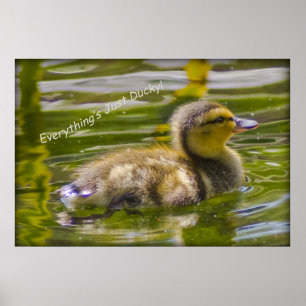Bara Ducky Poster