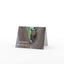 Bara ekorre i träd, jag saknar dig