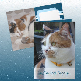 Bara en anteckning för att säga 3 kattfoton blå kort