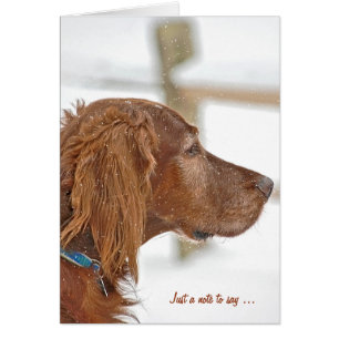 Bara en anteckning om Irish Setter Hälsningskort