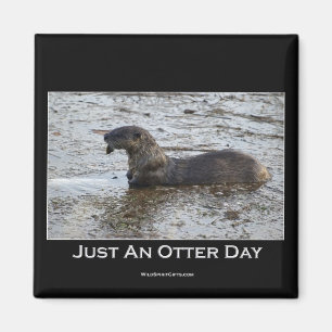 Bara en bättre dag-gåva magnet