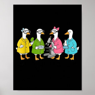 Bara en dum gås som gör vetenskap  poster