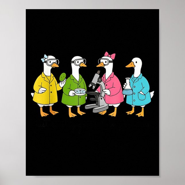 Bara en dum gås som gör vetenskap  poster (Framsidan)